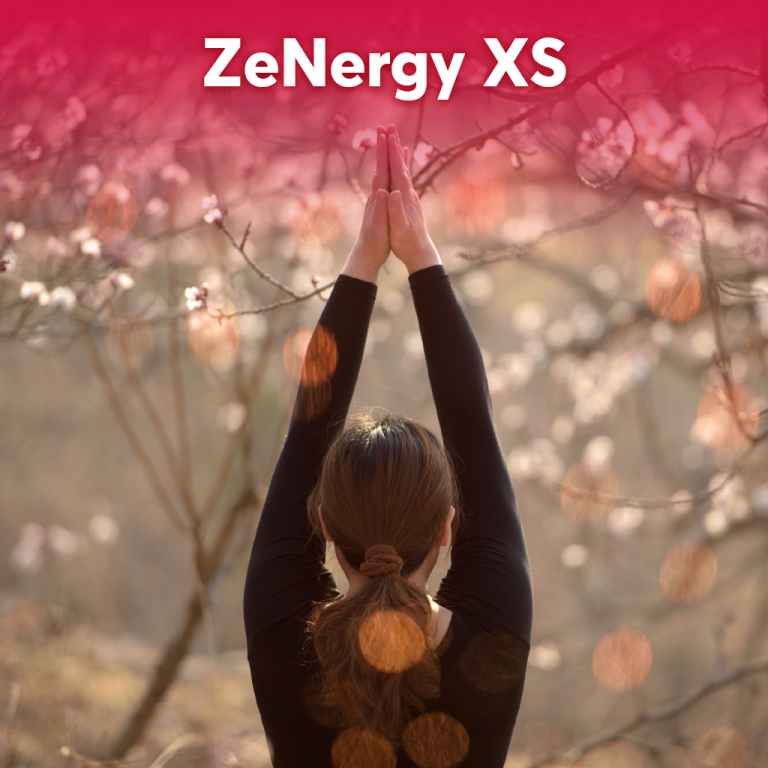 ZeNergy XS